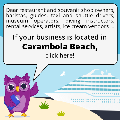 to business owners in Playa de Carambola